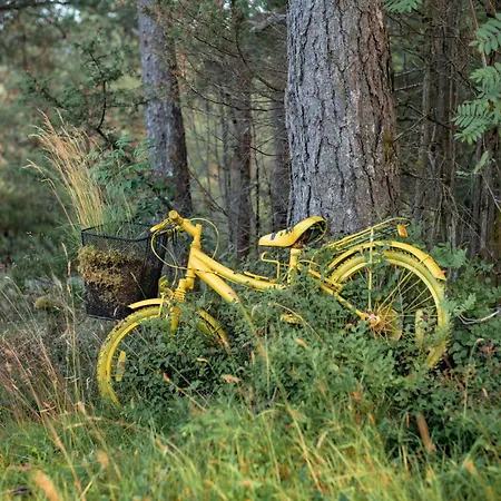 Granlien By Interhome * Gjolanger